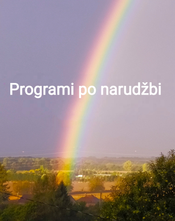 Programi po narudzbi